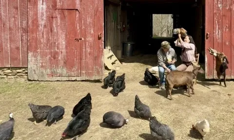 Cặp vợ chồng chi hơn 10,2 tỷ đồng mua mảnh đất 151.757m² để nghỉ hưu: “Chúng tôi chấp nhận vay thế chấp trong 30 năm”