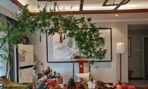 Ông bà dặn kỹ: 6 vị trí trong nhà tuyệt đối không nên đặt cây cảnh, sai một ly gia đình dễ lục đục