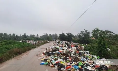 Rác thải dồn ứ sau Tết khiến cuộc sống của hàng trăm hộ dân bị đảo lộn