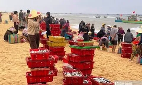 Rộn ràng cảnh mua bán “lộc biển” ngay tại bờ sau một đêm đánh bắt