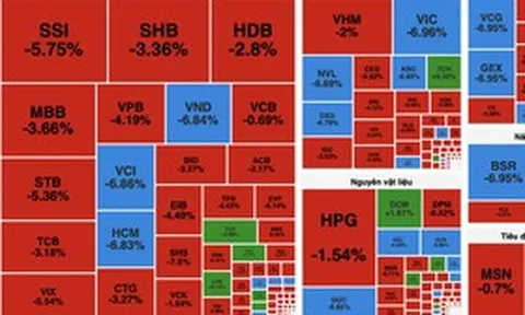 VN-Index "thủng" mốc 1.600 điểm, nhiều cổ phiếu lao dốc về giá sàn