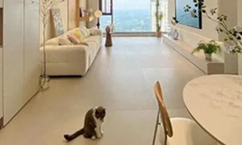 Bất chấp mọi lời khuyên, tôi vẫn lát gạch 600×1200mm cho phòng khách và sau khi ở 6 tháng, đây là điều tôi muốn nói thật