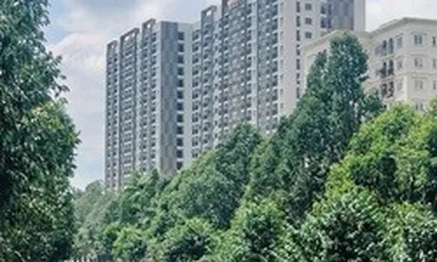 Đồng Nai cảnh báo không mua nhà ở xã hội qua "cò mồi", "suất ngoại giao"