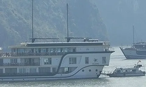 Sử dụng Starlink trái phép, chủ tàu du lịch ở Cát Bà bị phạt 70 triệu đồng