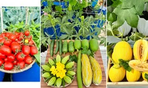 Sự thật về người phụ nữ Đồng Nai nhiều năm "không bước chân ra chợ", bí mật nằm ở tầng 3