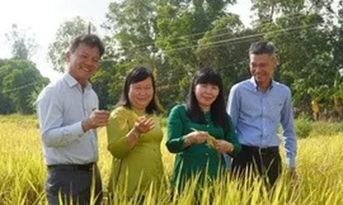 'Bón đúng, bón ít' – Triết lý làm nông nghiệp tử tế của một doanh nghiệp phân bón