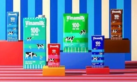 166 người thi vào Vinamilk chỉ chọn 1, khó hơn đại học Top đầu Việt Nam