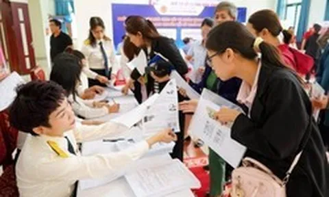 Cục thuế ra thông tư mới: Doanh thu hộ kinh doanh không còn “ước lượng, tự khai”