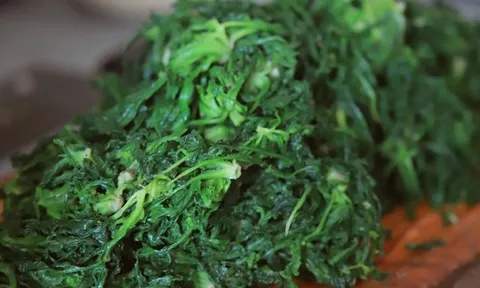 Ăn 1 mớ rau này tốt ngang thịt bò, mọc đầy bờ rào ai không biết hơi phí