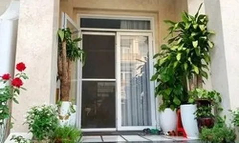 Lời khuyên cho những gia đình đang trồng cây trước cửa