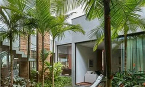 4 loại cây nên trồng trước cửa nhà: Vừa ‘trấn trạch’, vừa ‘hút’ tài lộc