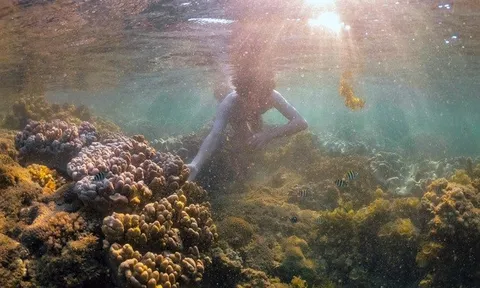 Đắk Lắk: Không đón khách ồ ạt, ngăn suy thoái rạn san hô danh thắng quốc gia Hòn Yến