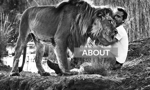 Bí mật khó tin của “dị nhân” khiến những con mãnh thú ngoan ngoãn đến lạ