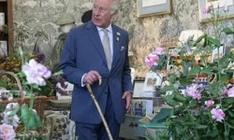 Quy tắc làm vườn kỳ lạ của Vua Charles: Cà rốt phải nhỏ bằng ngón tay út, bí ngô thì tuyệt đối không