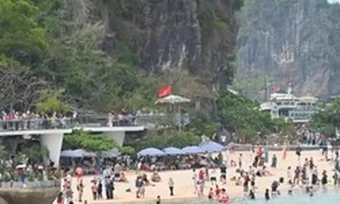 Vịnh Hạ Long nườm nượp người