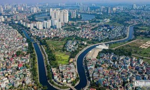 Thu hồi hơn 10.000m2 đất vi phạm của Constrexim - Meco