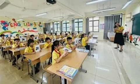 Sắp xếp, sáp nhập trường học trên cả nước