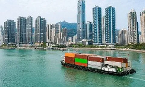 Việt Nam vừa đón tin vui từ Brazil