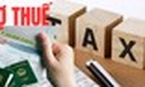 Nhiều cá nhân nợ thuế trên 500 triệu đến 158,9 tỉ đồng