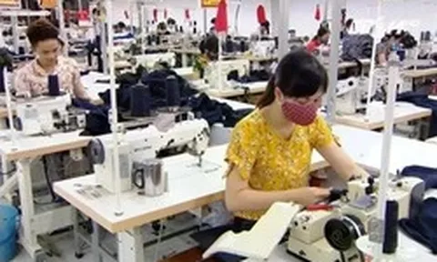 Giảm lãi suất là cần, nhưng mở rộng cánh cửa tín dụng mới đủ