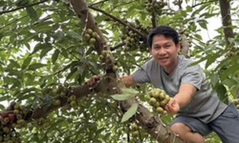 'Ông hoàng nhạc đỏ' mê làm nông, có nhà vườn rộng 4.000m²