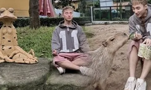 Sơn Tùng M-TP đăng đúng 1 tấm ảnh, hàng ngàn người trẻ kéo đến địa điểm 160 tuổi giữa phường Sài Gòn