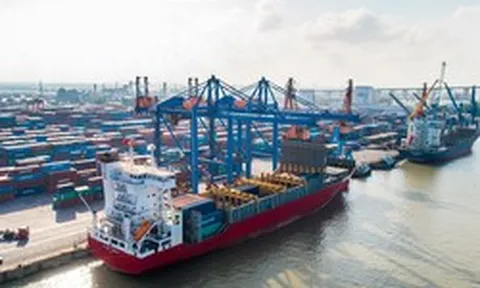 Cảng Đình Vũ chốt ngày trả cổ tức tiền mặt tỷ lệ 50%