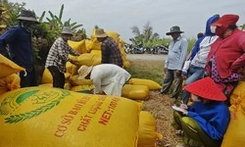 Nông dân không có tài khoản ngân hàng, doanh nghiệp phải “đẻ” thêm công ty trung gian
