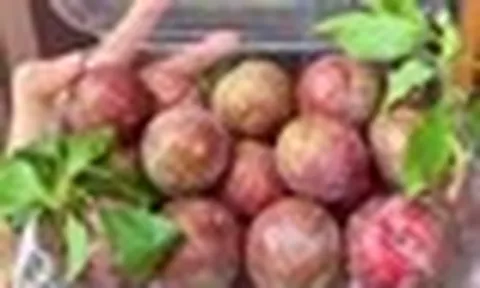 Điều gì xảy ra khi bạn ăn quá nhiều quả mận? Bác sĩ dinh dưỡng nhắc: 4 kiểu người này phải cực kỳ cẩn thận!