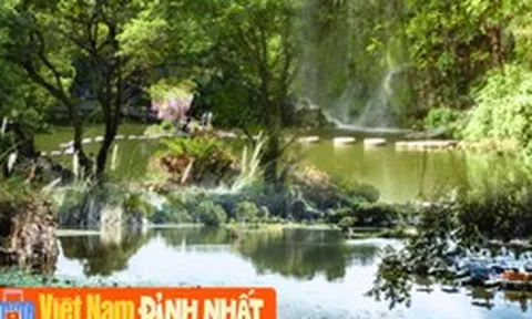 Việt Nam có 1 nơi lạnh âm 15 độ, sở hữu 8000 chậu lan đắt đỏ mà chỉ cách TP.HCM 1 tiếng đi xe