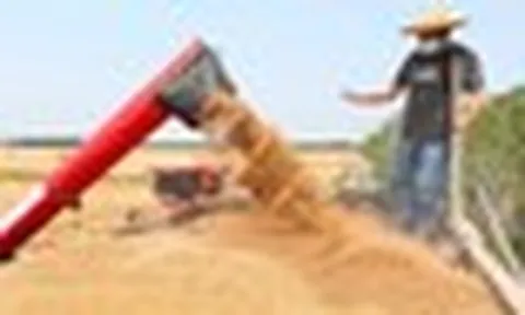 Không phải sầu riêng, Campuchia vừa đón tin cực vui ở mặt hàng đang cạnh tranh với Việt Nam - Trung Quốc góp công lớn