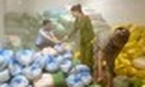 Thanh Hóa phát hiện 14 tấn bì heo không rõ nguồn gốc xuất xứ