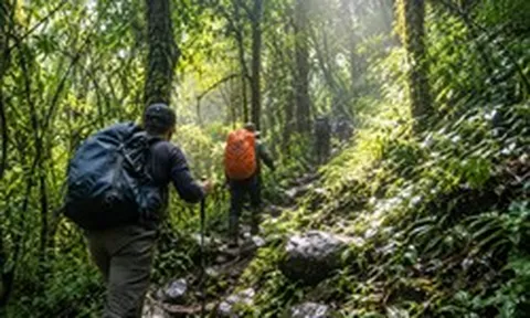 Cấm tuyệt đối 1 LOẠI hình du lịch được nhiều người yêu thích tại vườn Quốc Gia nổi tiếng