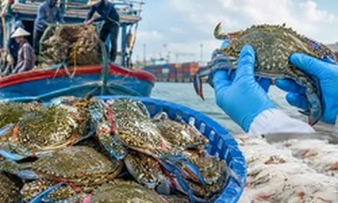 Việt Nam đón tin vui từ Mỹ!