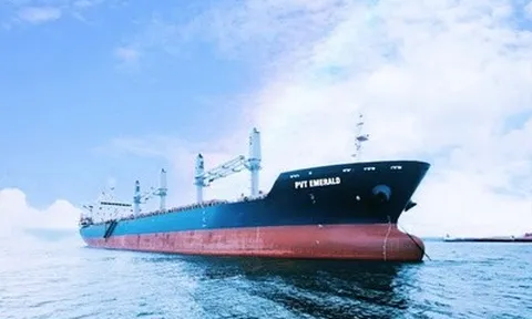 PVTrans sắp phát hành gần 47 triệu cổ phiếu trả cổ tức