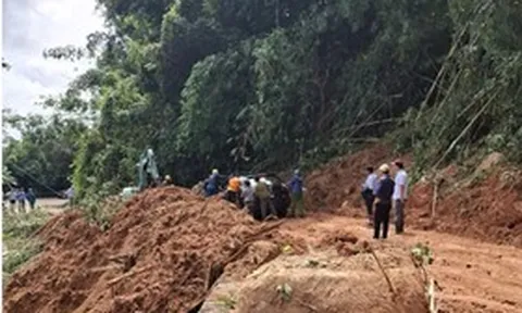 Lâm Đồng chuyển đổi hơn 5ha rừng khắc phục khẩn cấp sạt lở Quốc lộ 28