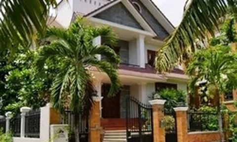 4 lý do bạn nên trồng một cây cau trước nhà
