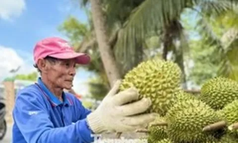 Lưu ý quan trọng về xuất khẩu nông sản sang Trung Quốc từ 1/6