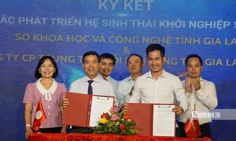 Gia Lai hỗ trợ khởi nghiệp từ chính sách đến thực tiễn