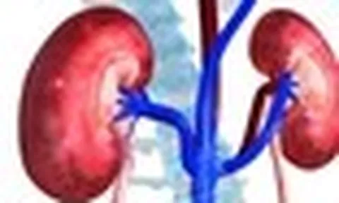 Bác sĩ tiết niệu cảnh báo: Nhiều quả thận bị hỏng “oan uổng” chỉ vì những sai lầm rất phổ biến