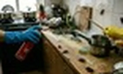 Lời khuyên đến những gia đình đang phải “sống chung” với… gián