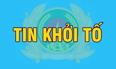 Khởi tố Giám đốc, viên chức Ban Quản lý rừng; Giám đốc, Phó Giám đốc, chủ sở hữu doanh nghiệp
