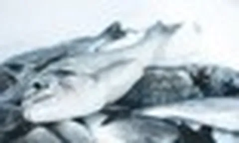 3 bộ phận của cá không nên ăn: Cái đầu tiên cực độc nhưng nhiều người tưởng bổ