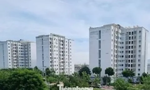 Đà Nẵng cho thuê nhà ở xã hội từ 54.000 đồng/m2/tháng