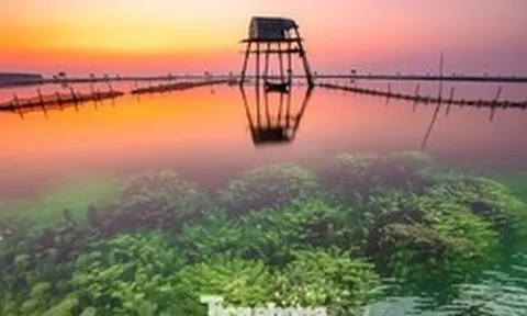 Khung cảnh 'siêu thực' trên bãi biển nổi tiếng Hưng Yên