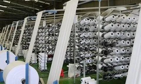 Một thứ thường bị vứt bỏ sau mỗi bữa ăn bất ngờ trở thành bài toán mới cho ngành xuất khẩu 11 tỷ USD của Việt Nam