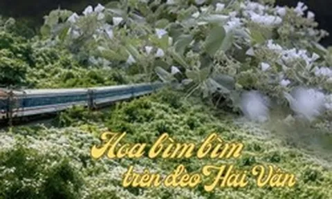 Việt Nam có cung đường đang xảy ra hiện tượng "tuyết mùa hè" phủ trắng đèo đẹp như phim