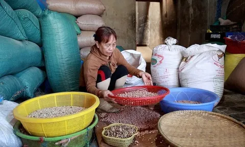 Giữ lửa nghề sản xuất "giọt vàng" ở Quảng Ngãi