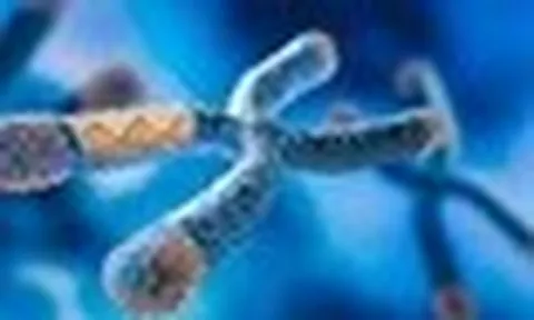 Một lỗi DNA có thể biến chuột cái thành đực: Hy vọng cho con người