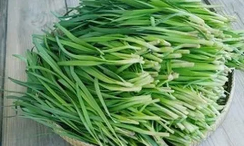 Những tác dụng của lá hẹ với sức khỏe ít người biết